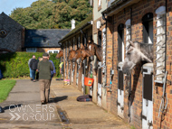 WG181024-68 - Warren Greatrex Stable Visit